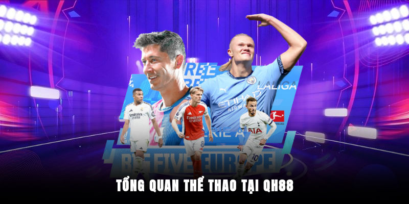 Đôi nét sảnh thể thao QH88